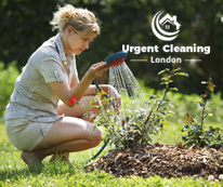 gardening-service-urgent-cleaning-02