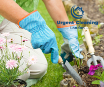 gardening-service-urgent-cleaning